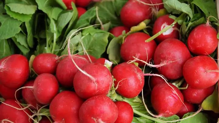 Alternatywne przekąski dla psa