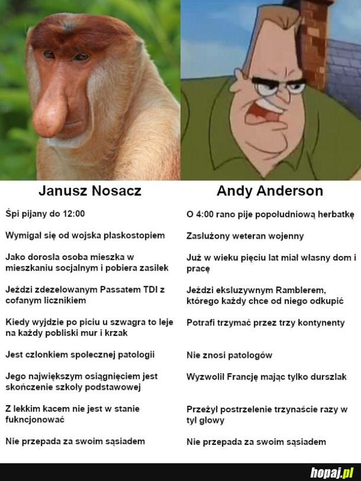 Bezpieczeństwo diety kota