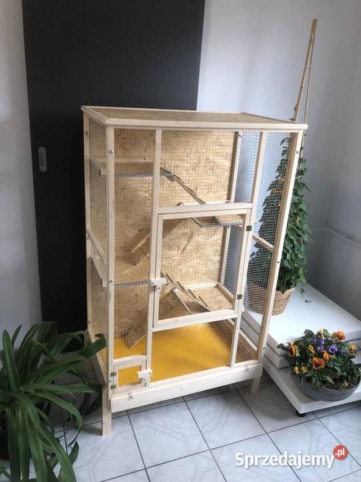 Bezpieczeństwo w klatce