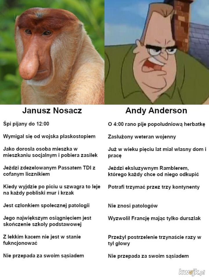 Bezpieczne składniki dla kotów