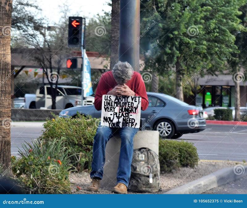 Zarobki weterynarzy w USA