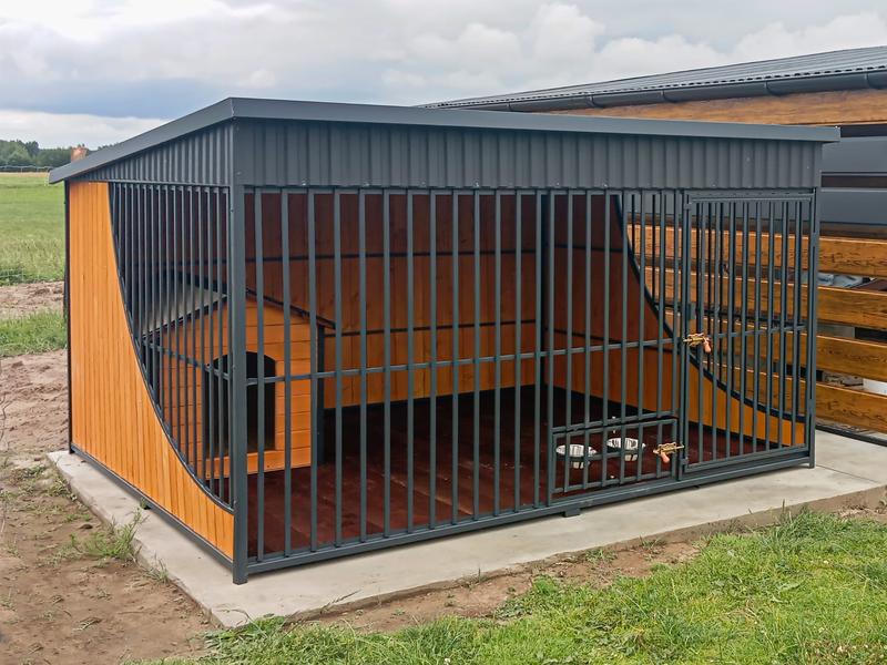 Bezpieczeństwo psa w klatce