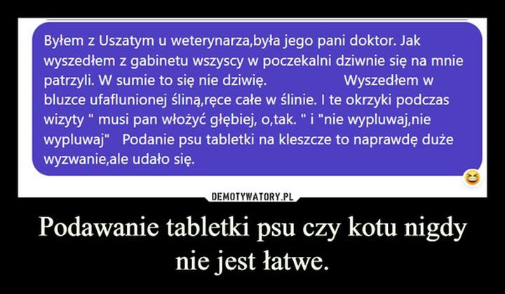 Bezpieczeństwo tabletek dla psa