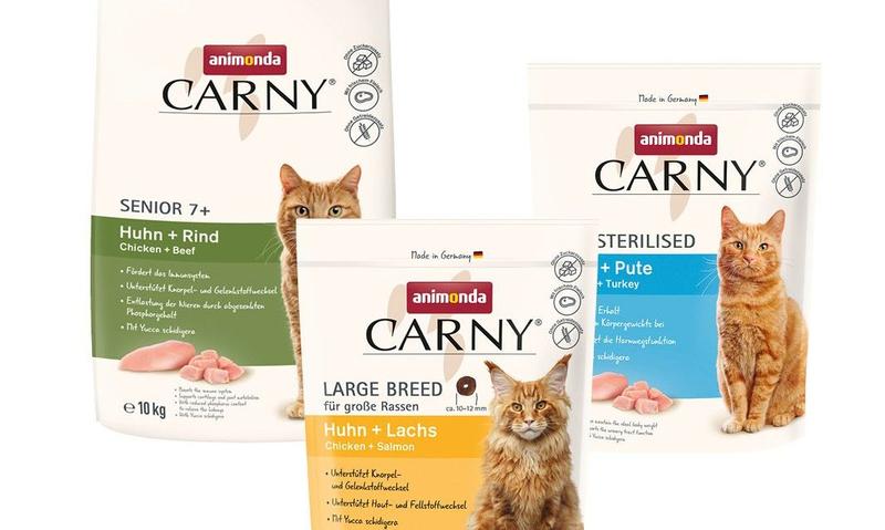 Bezpieczne smakołyki dla kota