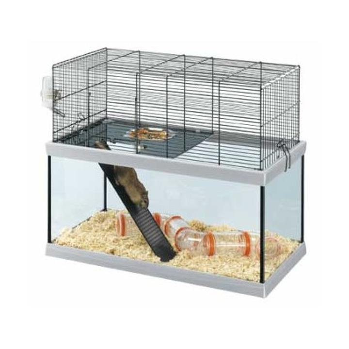 Higiena i bezpieczeństwo koszatniczki