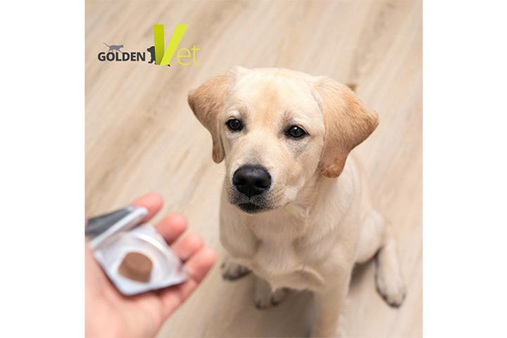 Naturalne metody odrobaczania