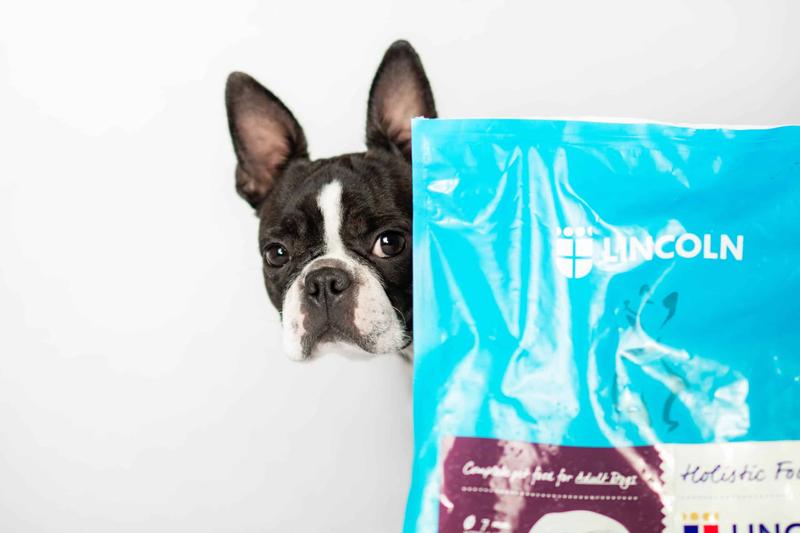 Odrobaczanie psa metody