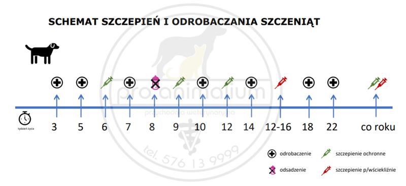 Odrobaczanie zwierząt