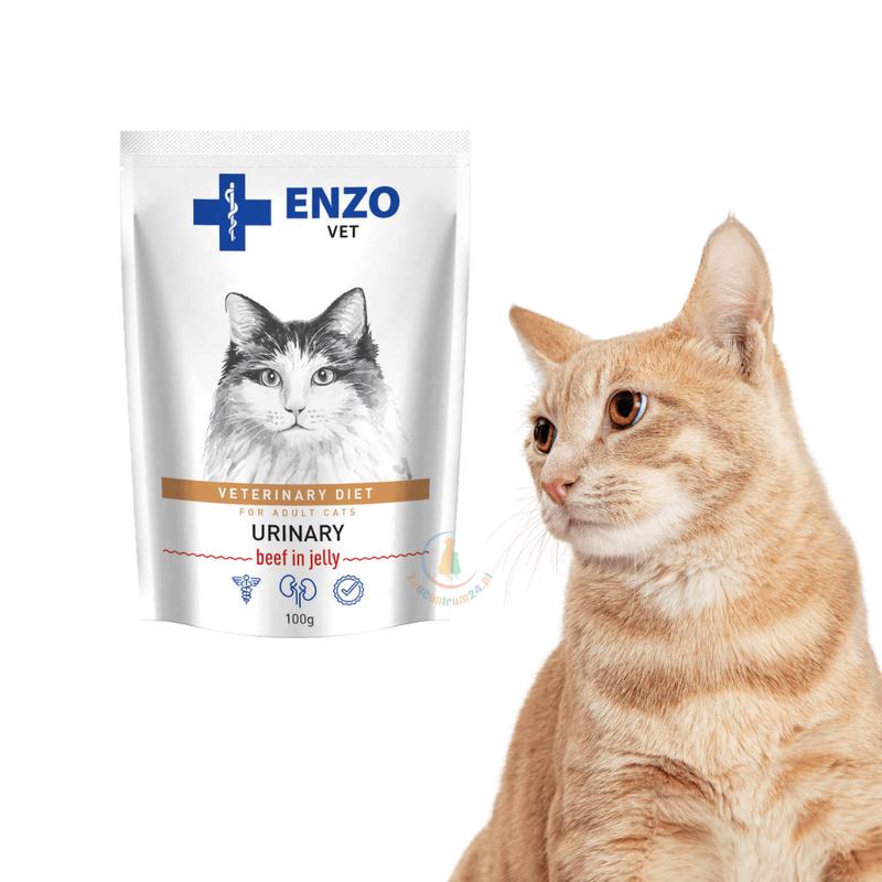 Roślinne przysmaki dla kota