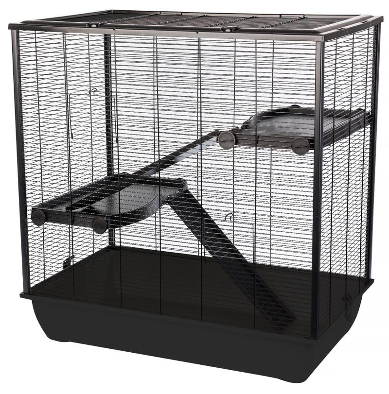 Wymiary klatki dla koszatniczki