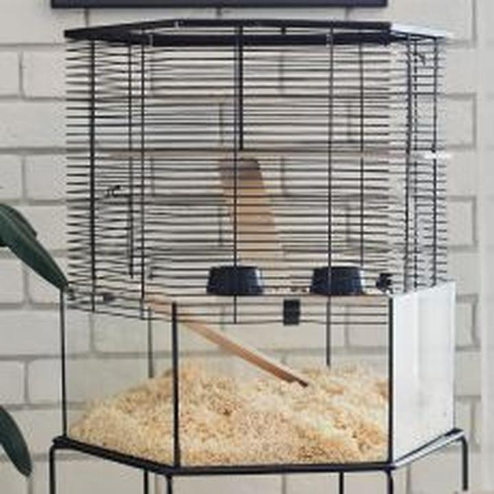 Wyposażenie klatki koszatniczki