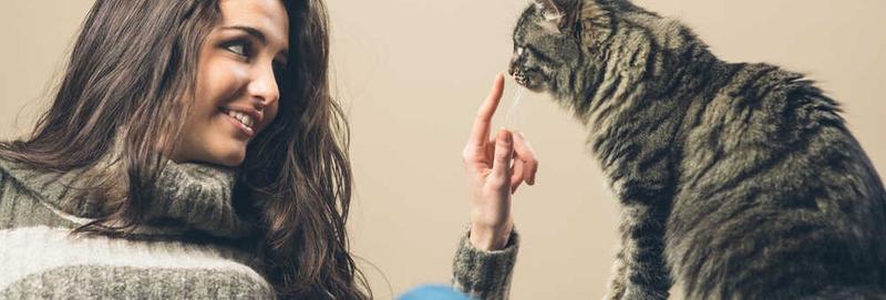 Alternatywy żywieniowe dla kotów