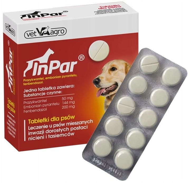 Bezpieczeństwo i dawkowanie leków dla kotów