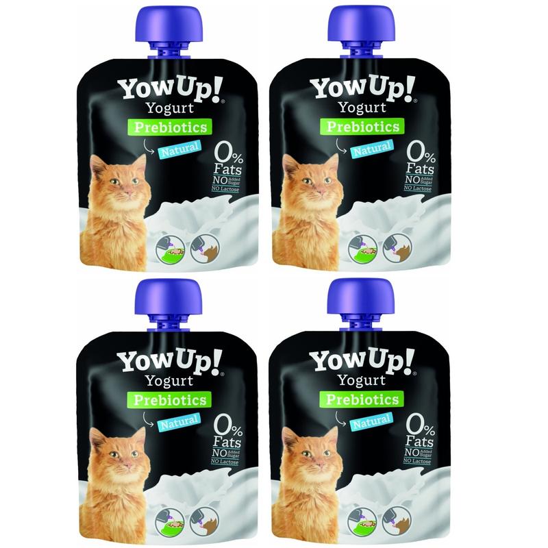 Bezpieczna żywność dla kotów