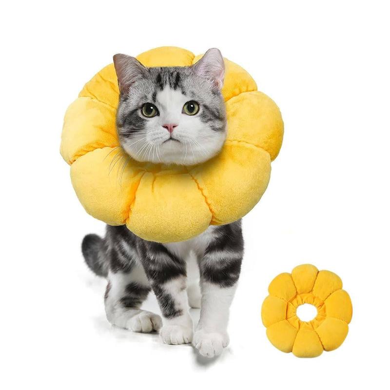 Bezpieczna żywność dla psów