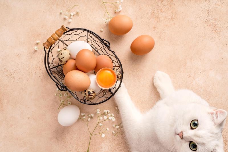 Bezpieczne podawanie żółtek