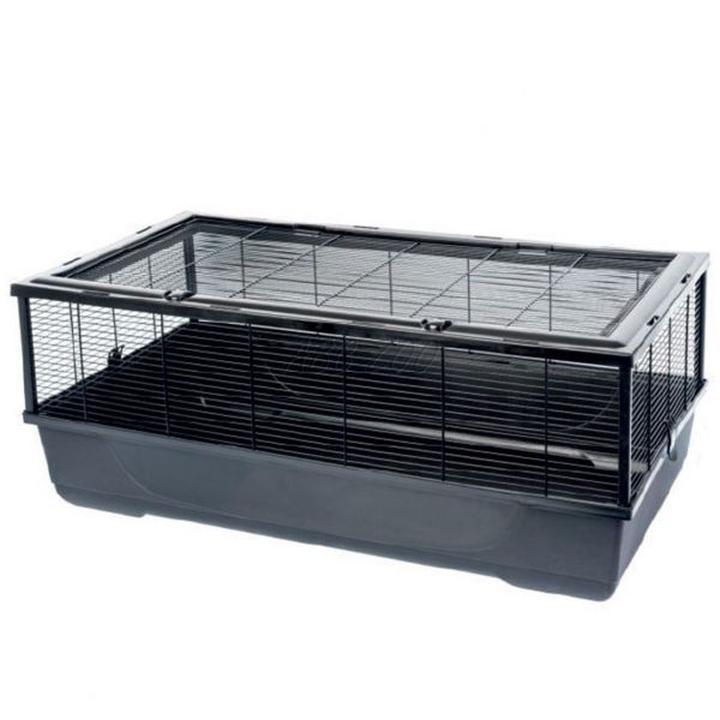 Bezpieczne środowisko dla chomika