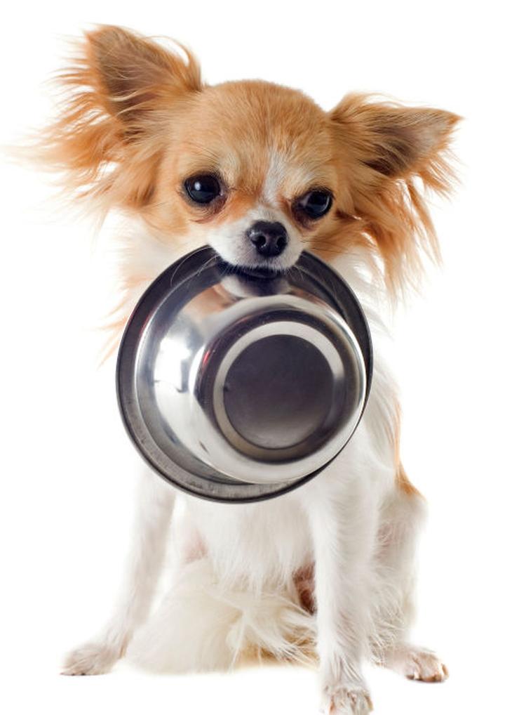 Bezpieczny ryż dla psów