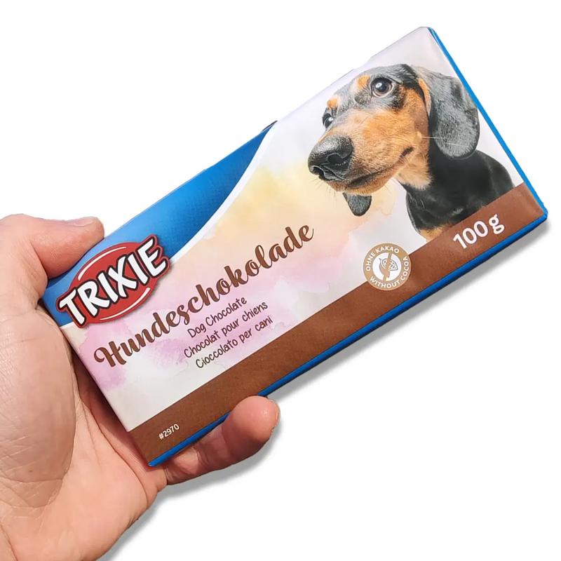 Czekolada a zdrowie psa