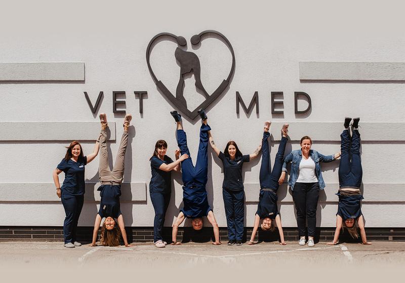 Komunikacja z weterynarzem