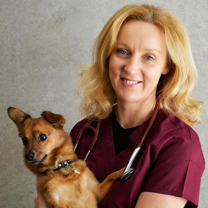 Pierwsza wizyta u weterynarza