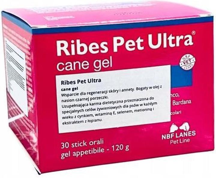 Porzeczki a zdrowie psa