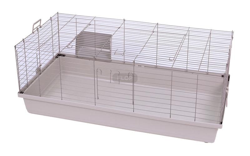 Urządzanie klatki dla świnki morskiej