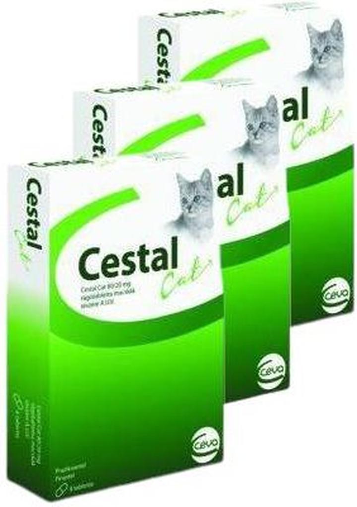 Wiek kota a odrobaczanie