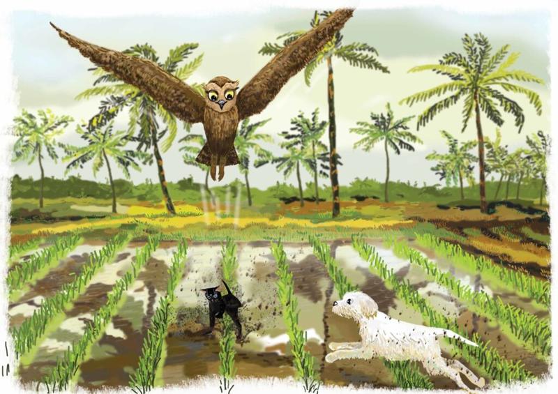 Zagrożenia żywieniowe dla kotów