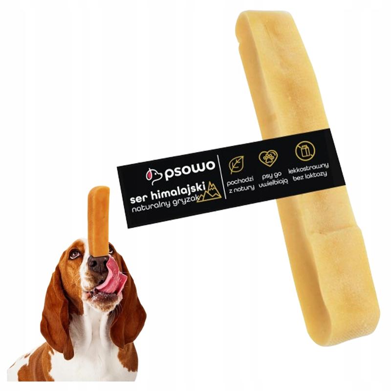 Zalety i wady sera w diecie psa