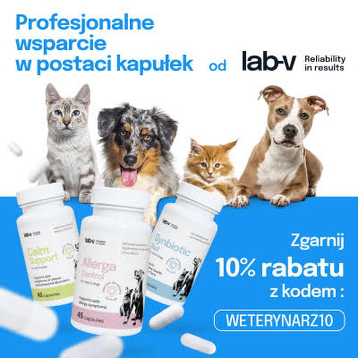 Zasady grzecznościowe weterynarz