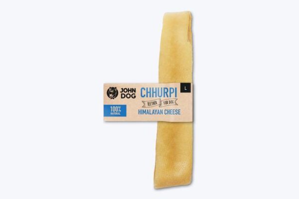 Bezpieczne podawanie sera psu – jakie zasady warto znać i jak unikać szkodliwych rodzajów