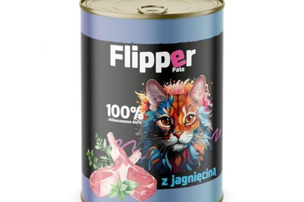 Czy buraki to dobra przekąska dla kotów? Odkryj bezpieczne zasady karmienia pupila