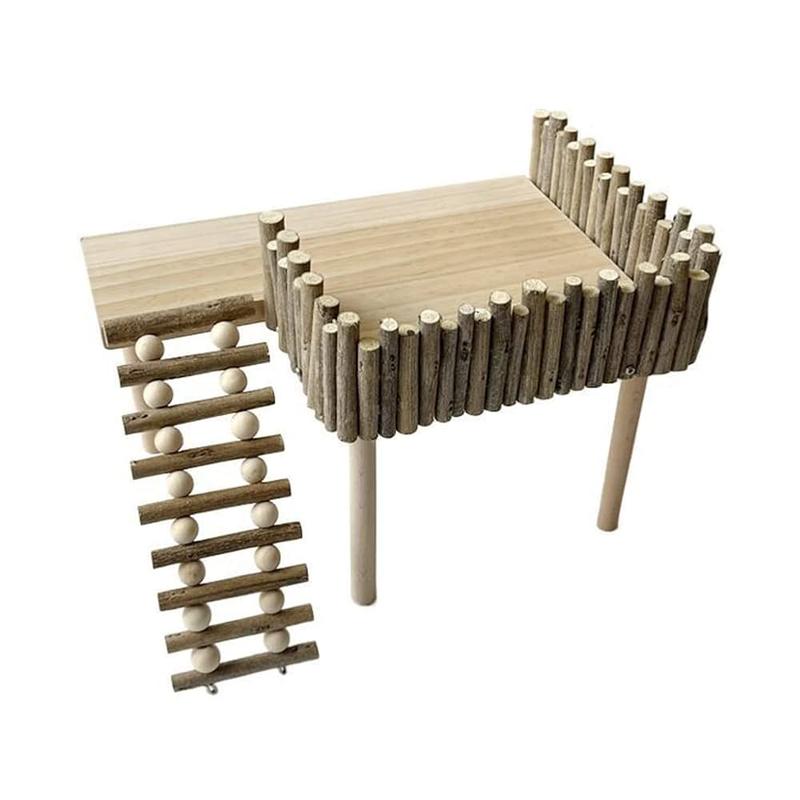 Dlaczego chomik wspina się po klatce? Oto przyczyny i skuteczne rozwiązania