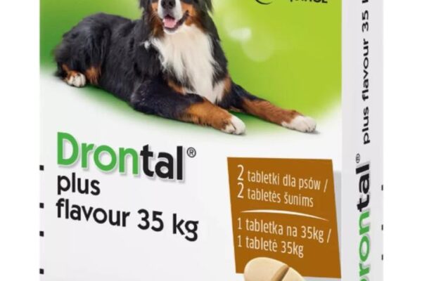 Jak działają tabletki na odrobaczanie? Oto wszystko, co powinieneś wiedzieć o ich skuteczności i działaniu