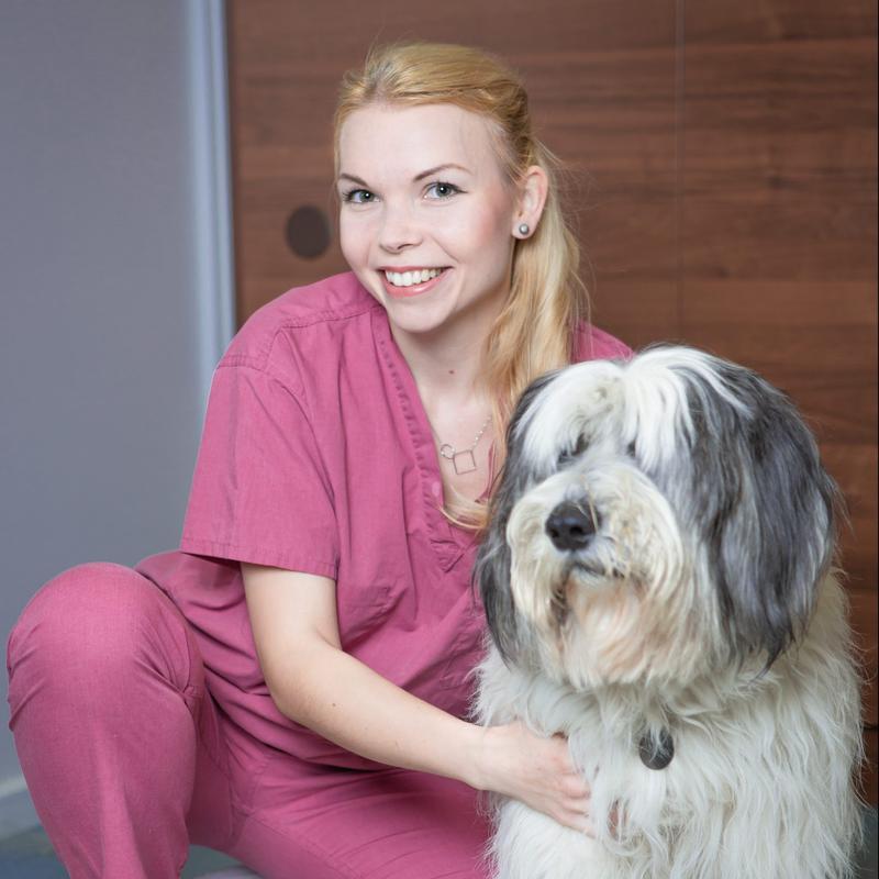 Zasady grzecznościowe w kontaktach z weterynarzem – jak zwracać się w każdej sytuacji?