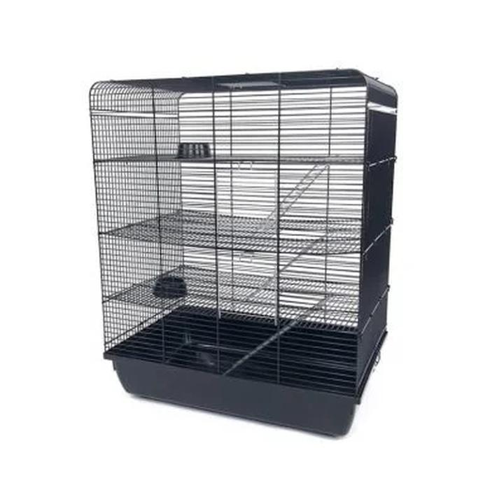 Aranżacja klatki dla szczura