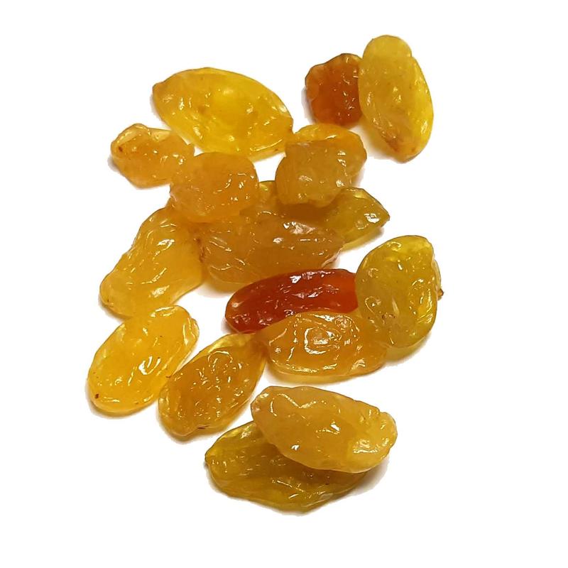 Bezpieczne alternatywy dla psów