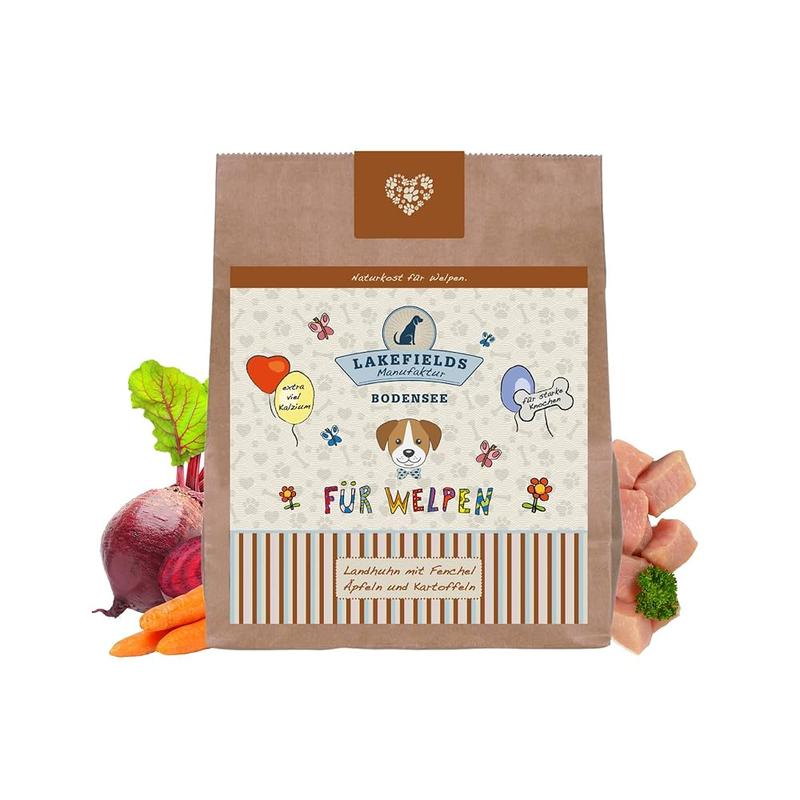 Bezpieczne jedzenie dla psów