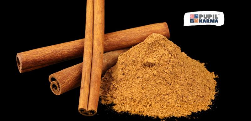 Bezpieczne podawanie cynamonu psu