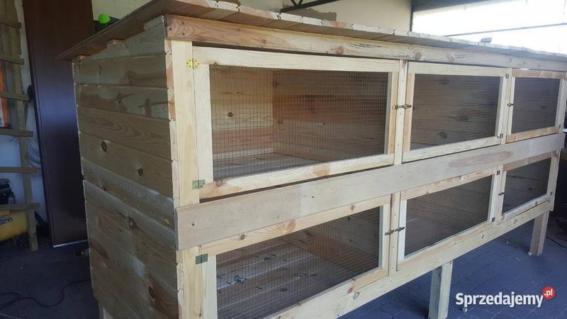 Budowa klatki dla królików