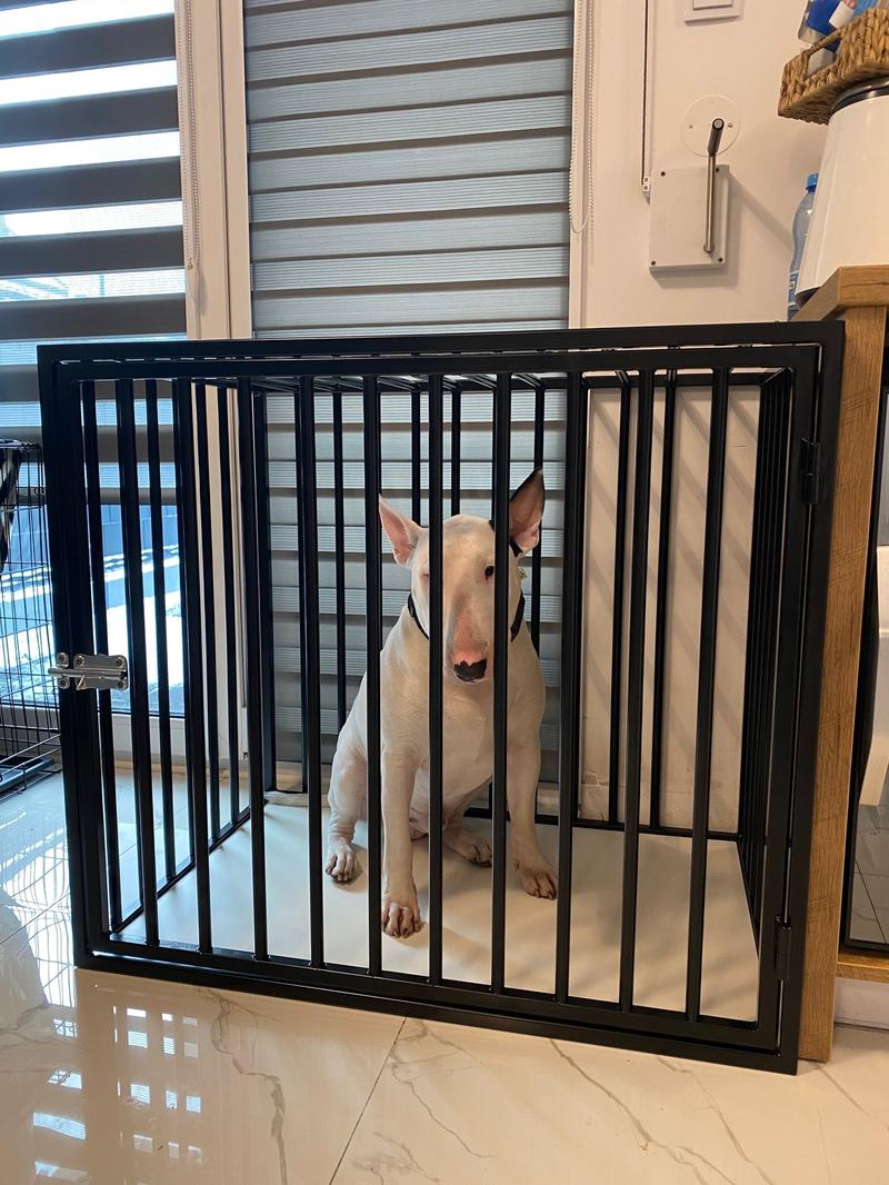 Budowa klatki dla psa