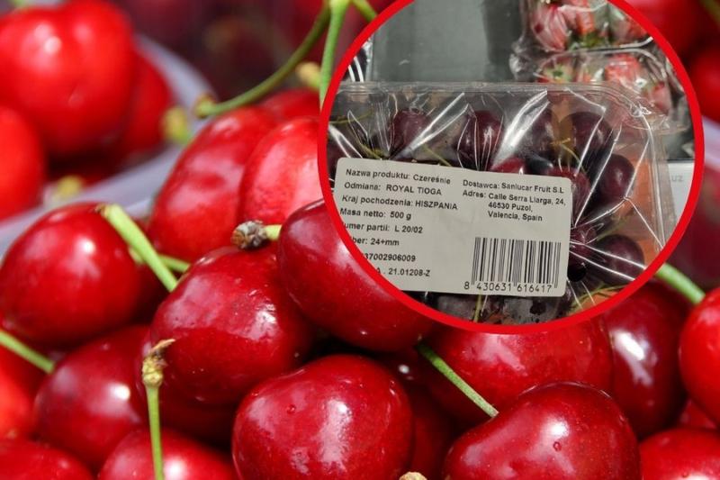 Czereśnie toksyczne dla psów