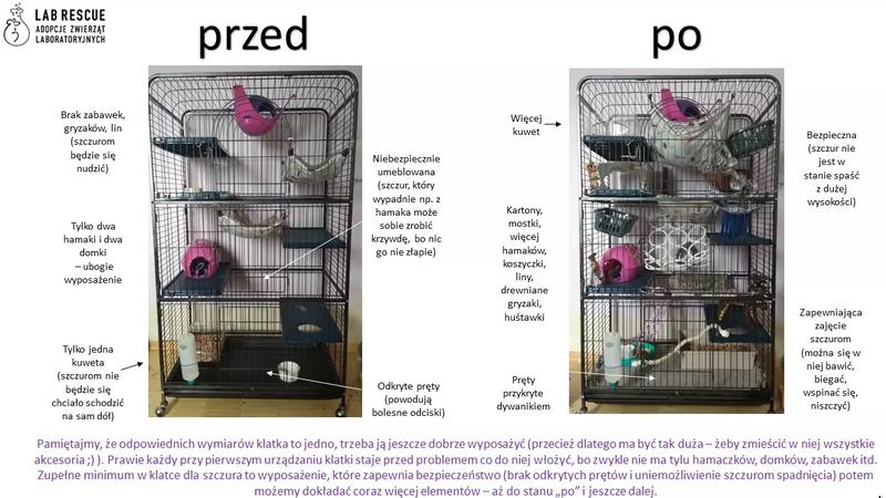 Klatka dla szczura