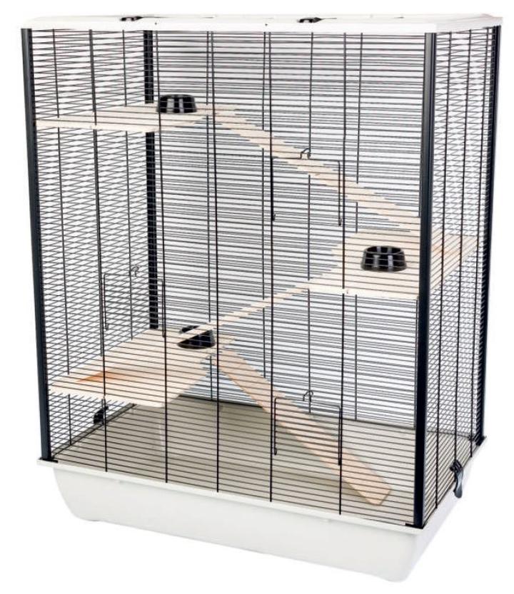 Komfort i bezpieczeństwo koszatniczki