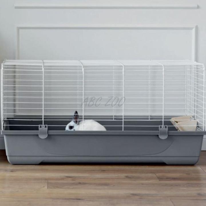 Komfort i bezpieczeństwo królika