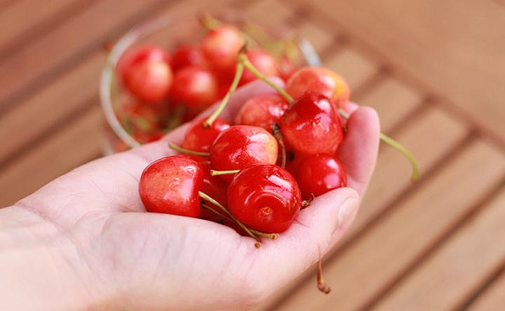Korzyści zdrowotne czereśni dla psów