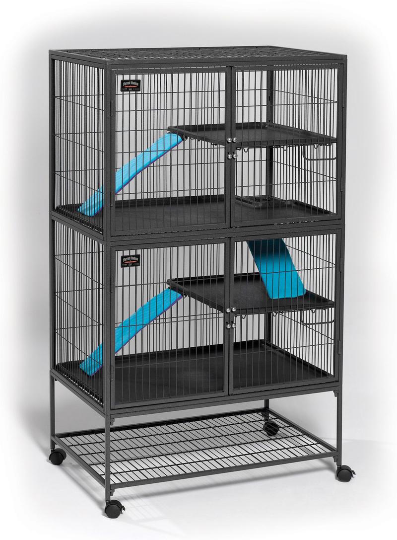 Przestrzeń dla fretki