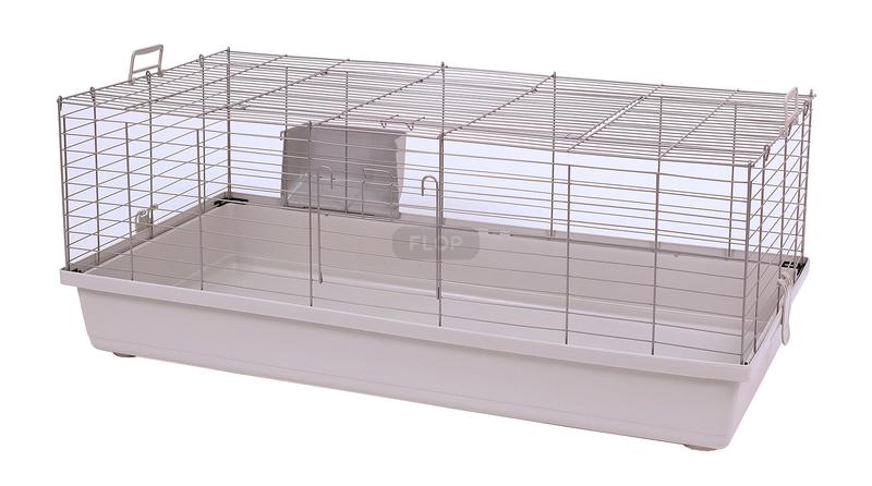 Przyjazne otoczenie dla królika