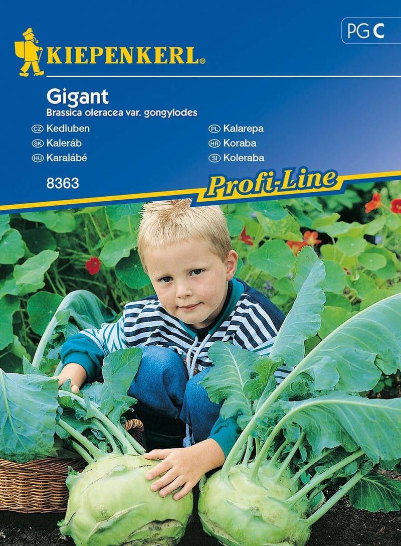 Zalety i ryzyka kalarepy dla psa